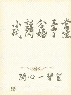 小说分手当天,我闪婚了亿万富豪