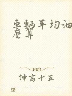 车辆平均油耗怎么算