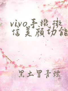 vivo手机微信美颜功能在哪里打开