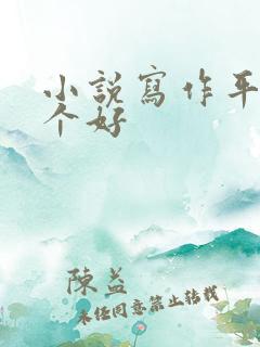 小说写作平台哪个好