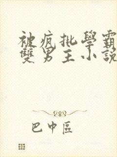 被疯批学霸囚禁双男主小说完结了吗