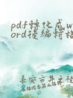 pdf转化成word后编辑格式不好调