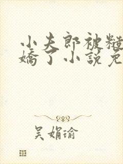 小夫郎被糙汉宠娇了小说免费阅读