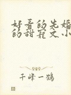 好看的先婚后爱的甜宠文小说