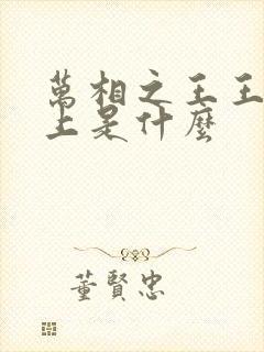 万相之王王境之上是什么