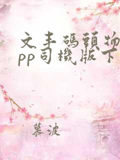 文丰码头物流app司机版下载不了