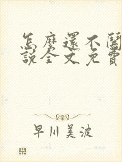 怎么还不哄我小说全文免费阅读