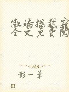 傲娇总裁宠上瘾全文免费阅读