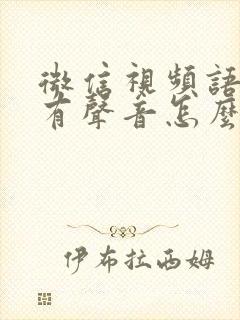 微信视频语音没有声音怎么办