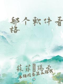 那个软件看车价格