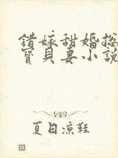 错嫁甜婚总裁的宝贝妻小说完整版