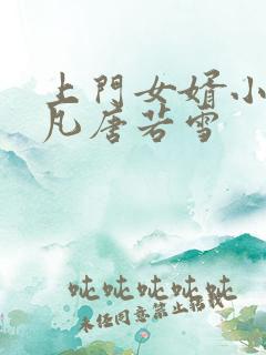 上门女婿小说叶凡唐若雪