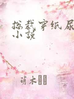 总裁穿纸尿裤的小说