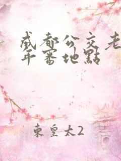 成都公交老年卡年审地点