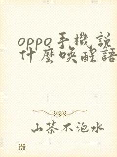 oppo手机说什么唤醒语音助手