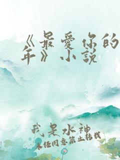 《最爱你的那十年》小说