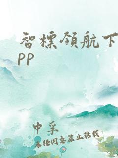 智标领航下载app