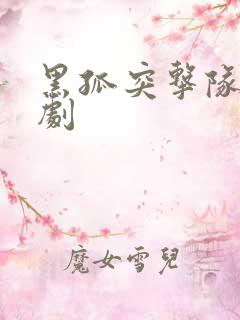 黑孤突击队电视剧