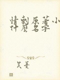 情刺原著小说叫什么名字