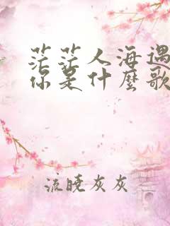 茫茫人海遇见了你是什么歌名么意思