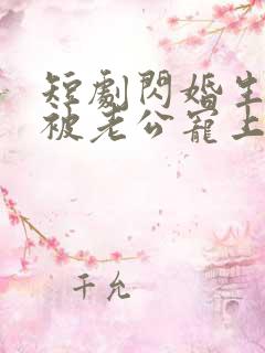 短剧闪婚生子后被老公宠上天