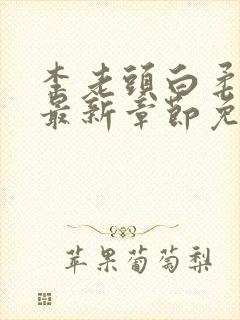 李老头白柔小说最新章节免费阅读