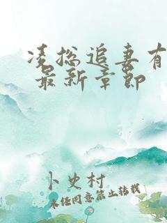 凌总追妻有点甜 最新章节