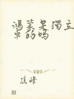 鸿蒙是独立于安卓的吗