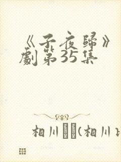 《子夜归》电视剧第35集