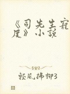 《司先生宠妻无度》小说