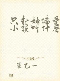 只对她偏爱原著小说叫什么名字