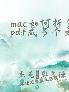 mac如何拆分pdf成多个文件