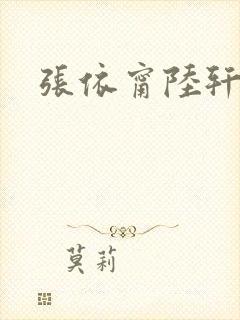 张依甯陆轩小说