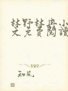 林野林冉小说全文免费阅读最新章节