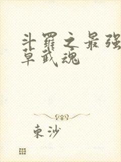 斗罗之最强蓝银草武魂