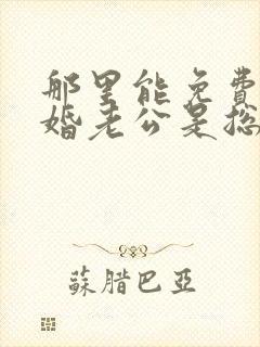 那里能免费看闪婚老公是总裁短剧