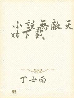 小说无敌天帝txt下载