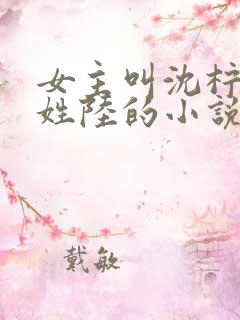 女主叫沈柠男主姓陆的小说