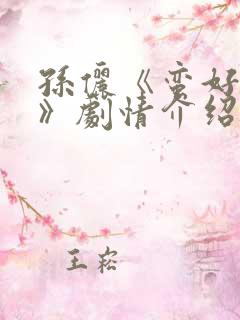 孙俪《蛮好人生》剧情介绍