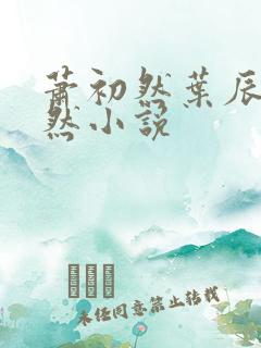萧初然叶辰萧初然小说