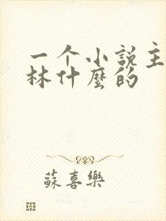 一个小说主角叫林什么的