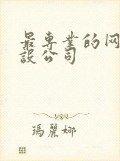 最专业的网站建设公司