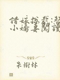 错嫁总裁:替身小娇妻阅读全