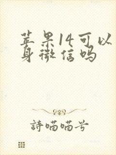 苹果14可以分身微信吗