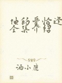 他的爱恰逢其时全集介绍