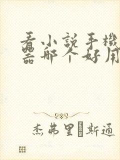 看小说手机浏览器哪个好用