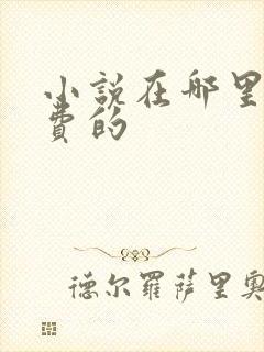 小说在哪里看免费的