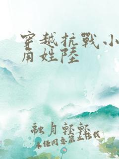 穿越抗战小说主角姓陆