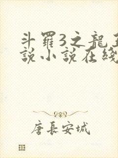 斗罗3之龙王传说小说在线阅读