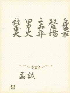 双男主替身文追夫火葬场最好看